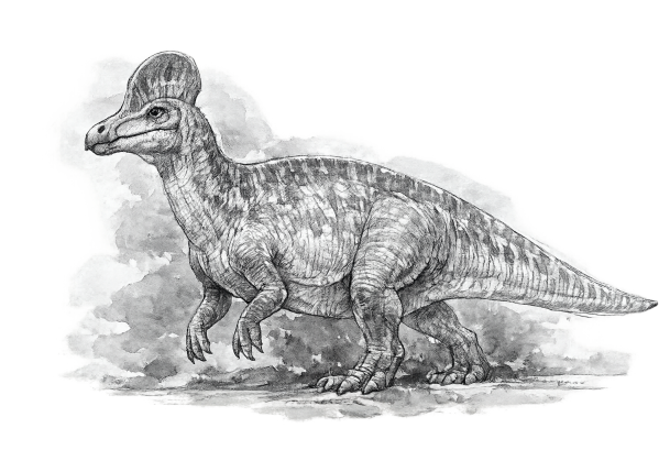Corythosaurus-Modell