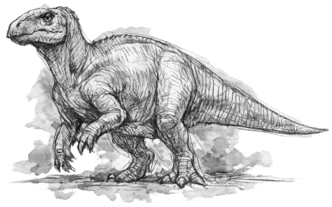 Iguanodon-Modell