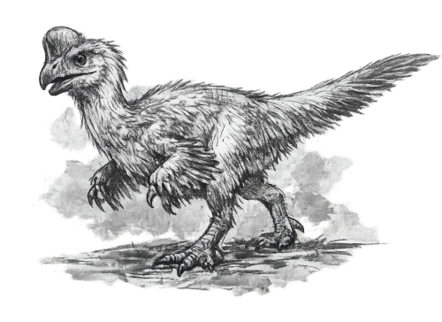 Oviraptor-Modell