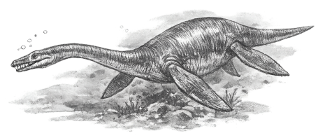 Plesiosaurus-Modell