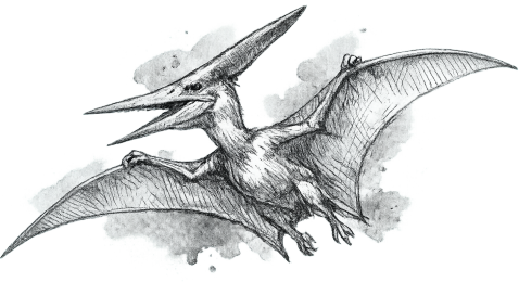 Pteranodon-Modell