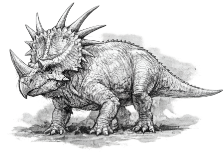 Styracosaurus-Modell